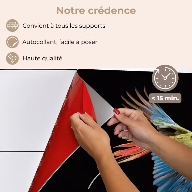 Fond de hotte - Perroquet - coloré - ailes - orné — 4
