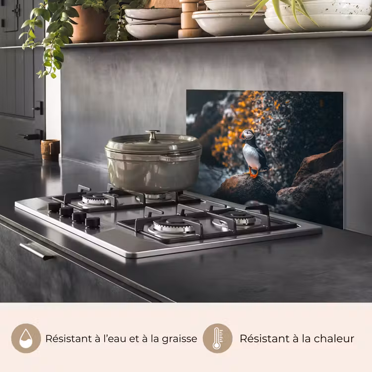 Fond de hotte - Perroquet - Oiseau - Roche - Blanc — 2