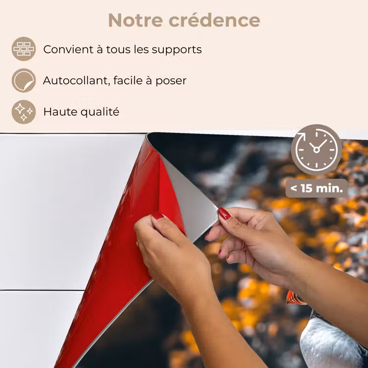 Fond de hotte - Perroquet - Oiseau - Roche - Blanc — 4