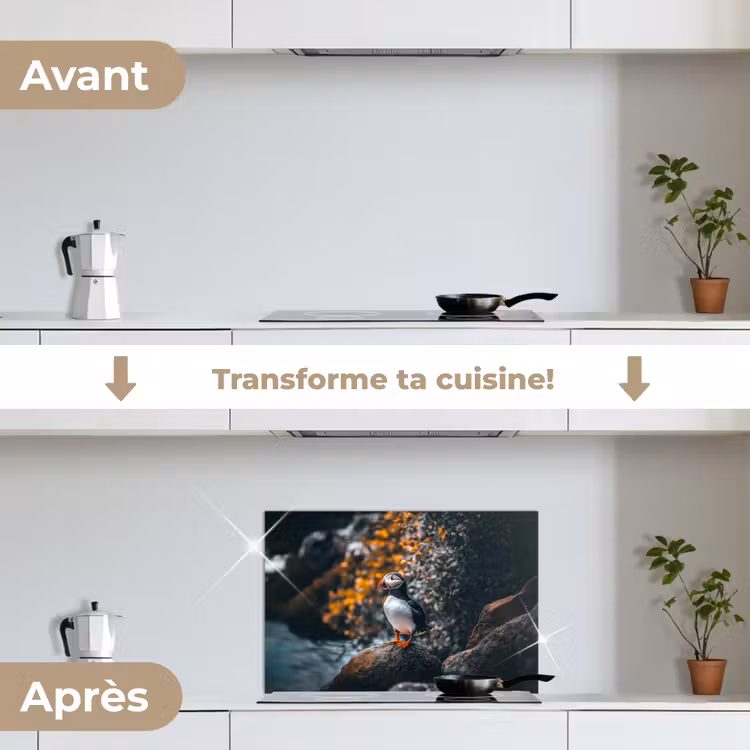Fond de hotte - Perroquet - Oiseau - Roche - Blanc — 7