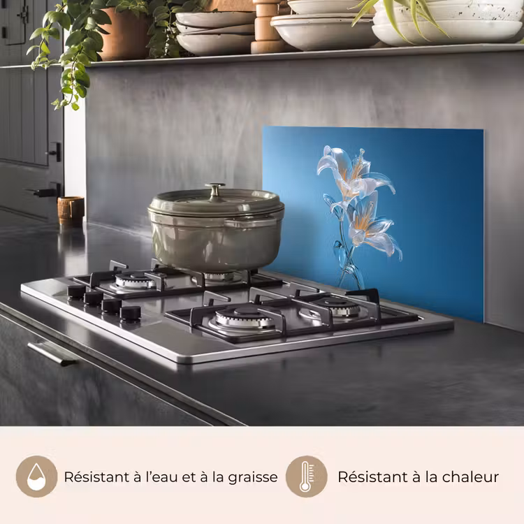 Fond de hotte - Lys - Bleu - Verres — 2