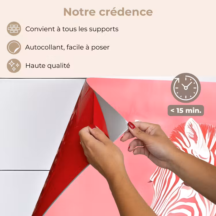 Fond de hotte - Zèbre - Rose - Peinture — 4