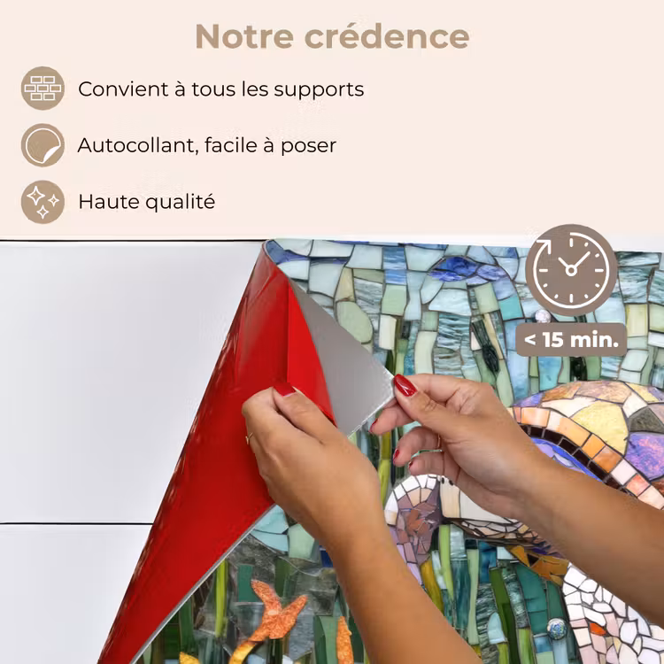 Fond de hotte - Tortue - Algue - Mosaïque — 4