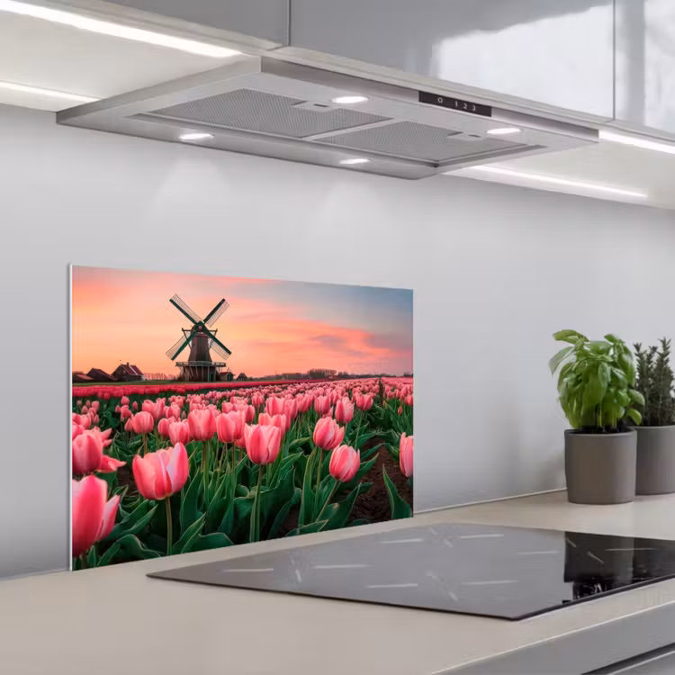 Fond de hotte - Tulipes - Moulin - Pays-Bas — 1
