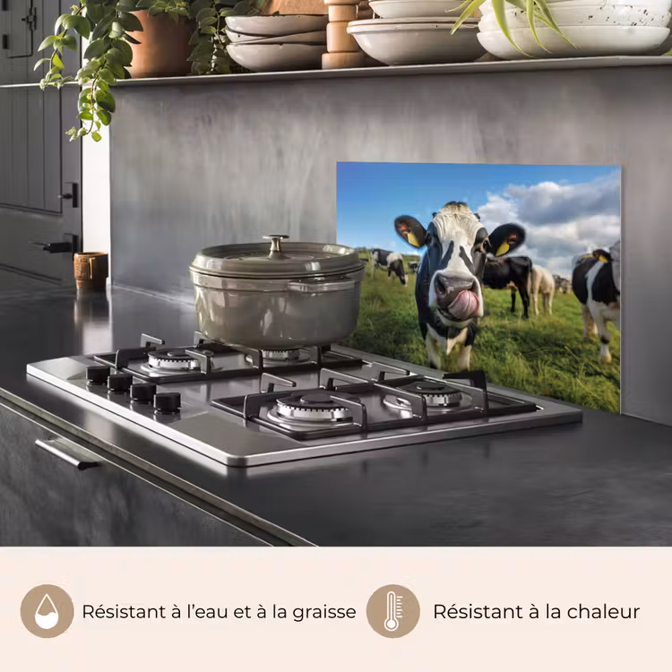 Fond de hotte - Vache - Langue - Pré — 2