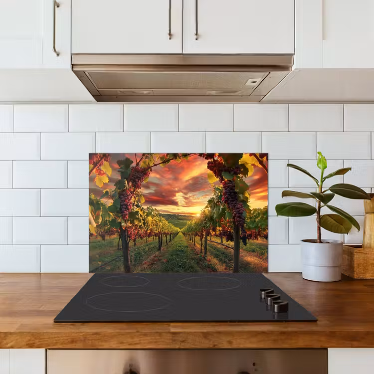 Fond de hotte - Vignoble - Raisins - Coucher de soleil — 3
