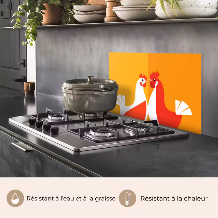 Fond de hotte - Poulets - Orange - Plaines — 2