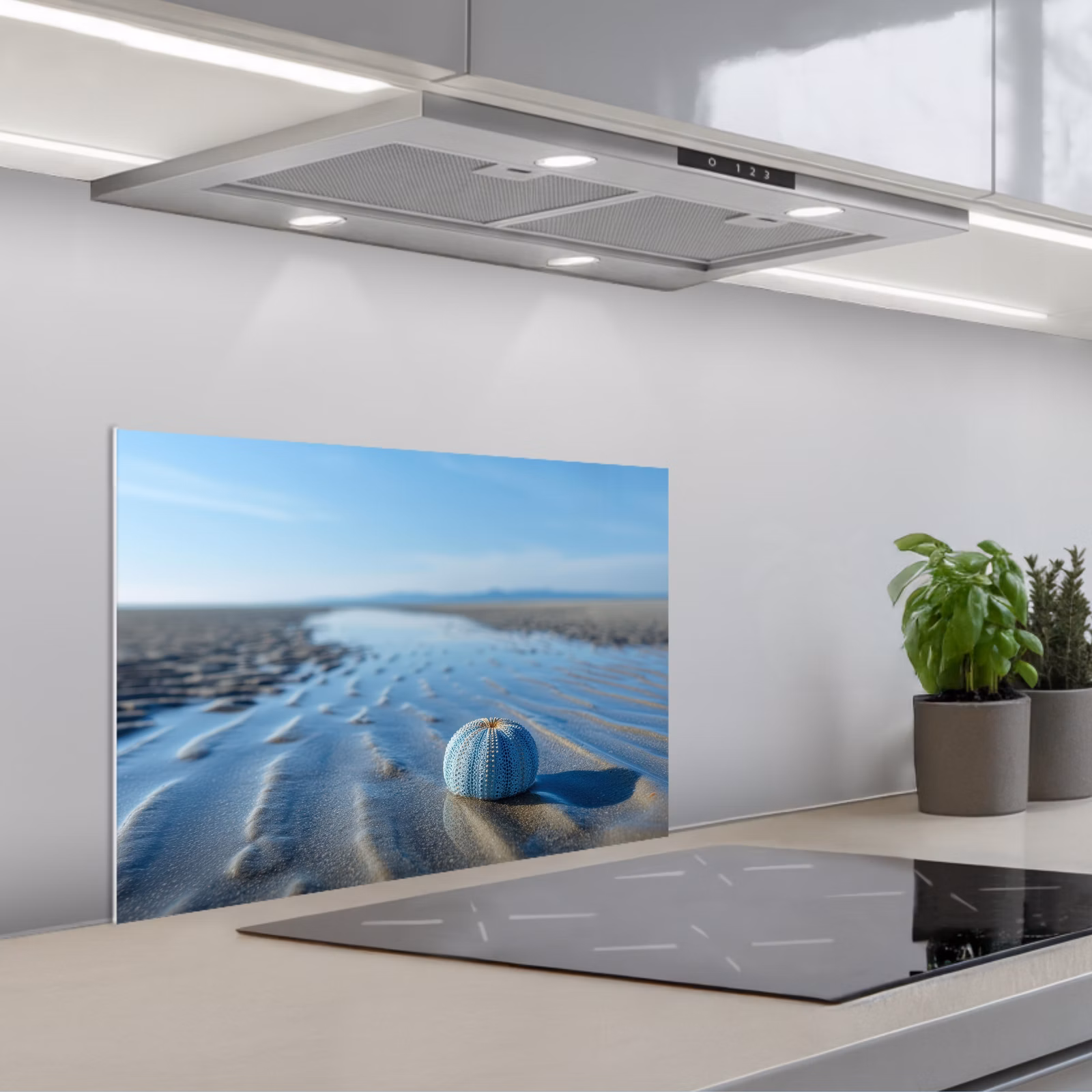 Fond de hotte - Plage - Bouclier - Eau - Bleu — 1
