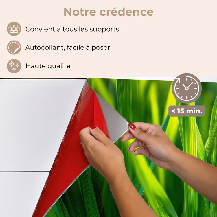 Fond de hotte - Lames d'herbe - Léger - Vert — 4