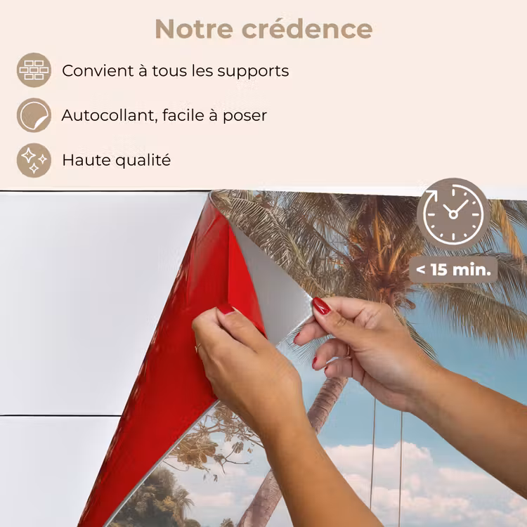Fond de hotte - Palmier - Balançoire - Plage - Air — 4