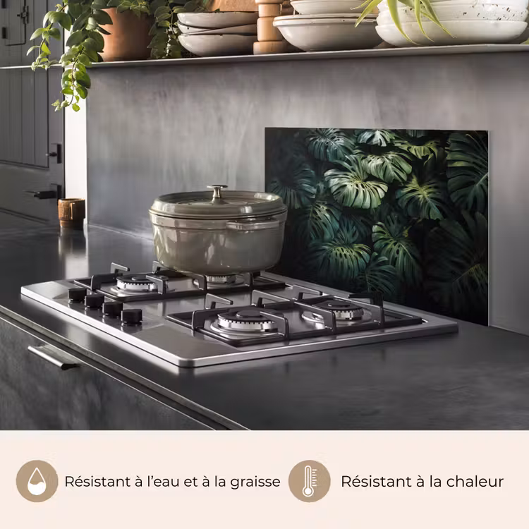Fond de hotte - Plante - Monstera - Légère — 2