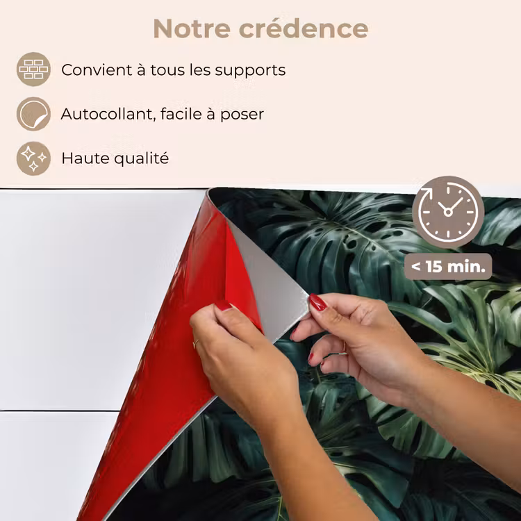 Fond de hotte - Plante - Monstera - Légère — 4