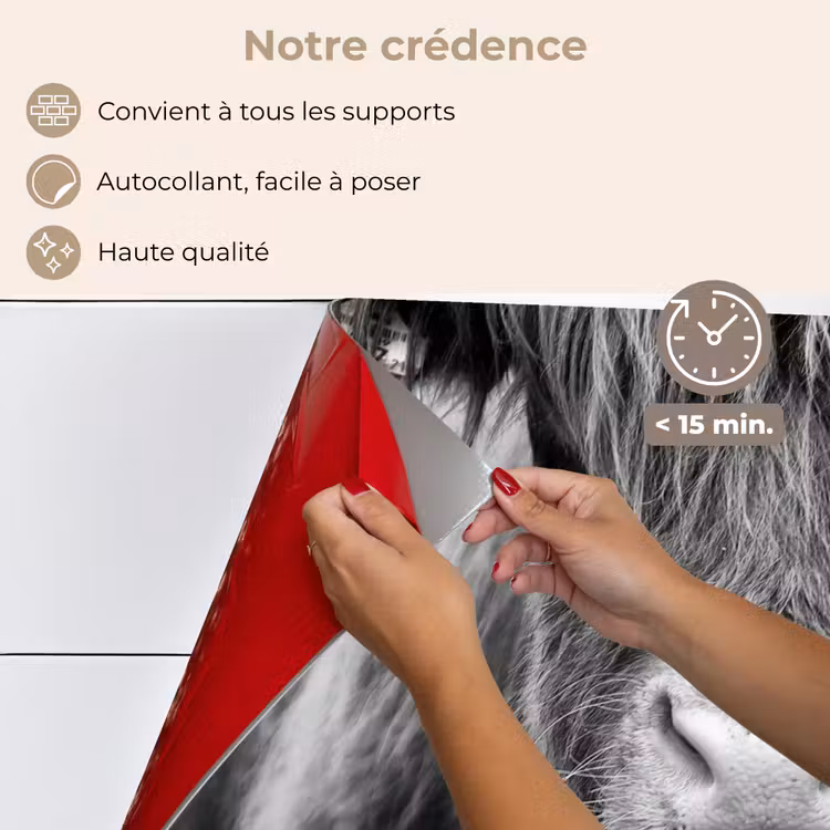 Fond de hotte - Highlander écossais - Vache - Noir - Blanc - Animaux — 4