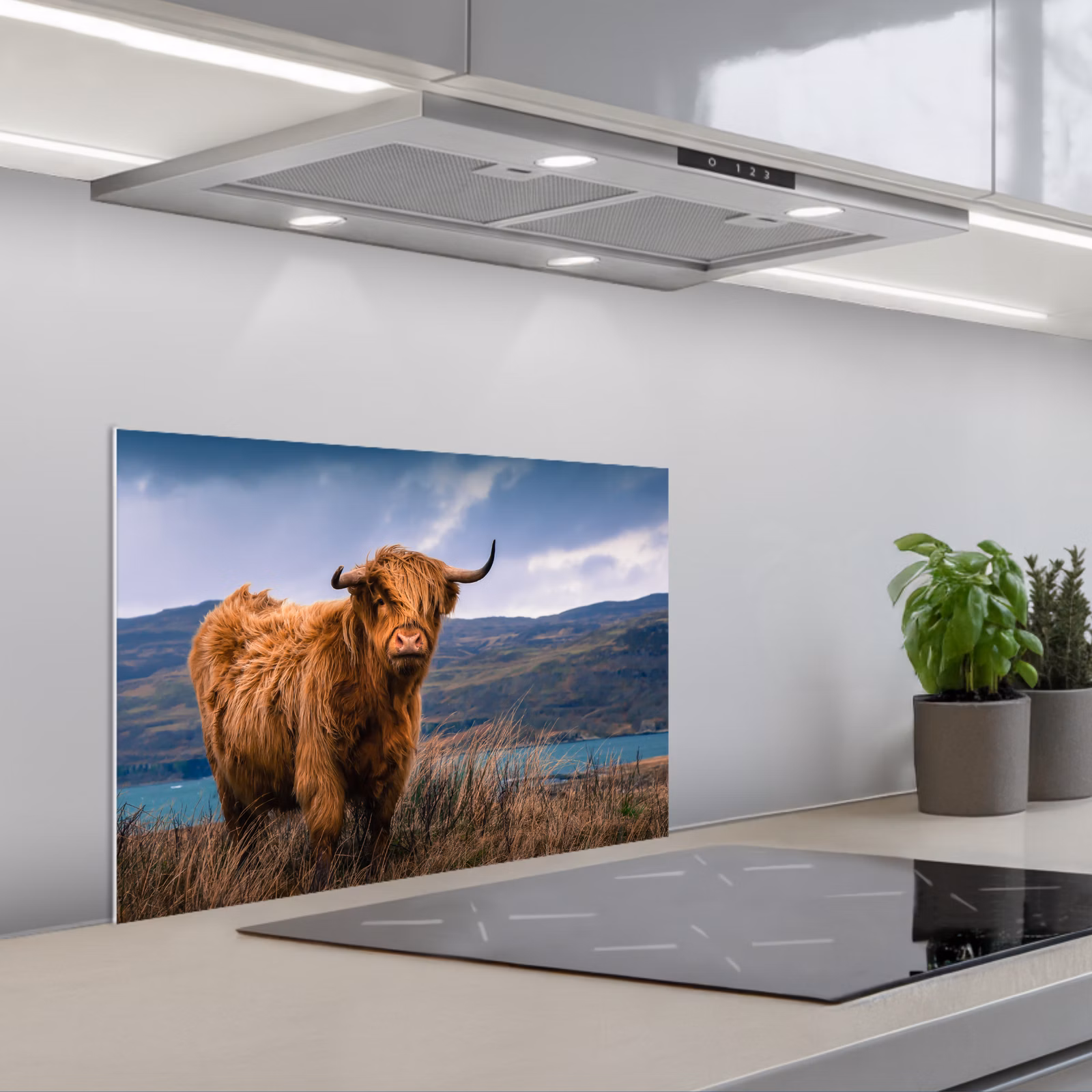 Fond de hotte - Highlander écossais - Montagne - Eau - Nature - Vache — 1