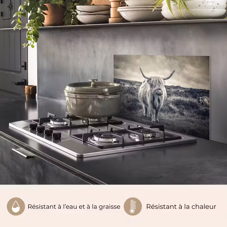 Fond de hotte - Highlander écossais - Animaux - Nuages - Vache - Nature — 2