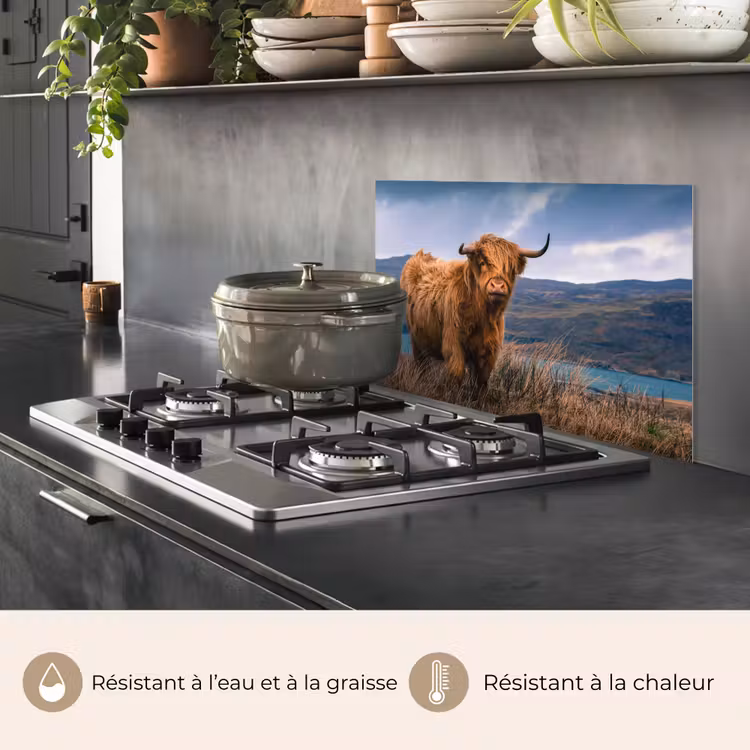 Fond de hotte - Highlander écossais - Montagne - Eau - Nature - Vache — 2