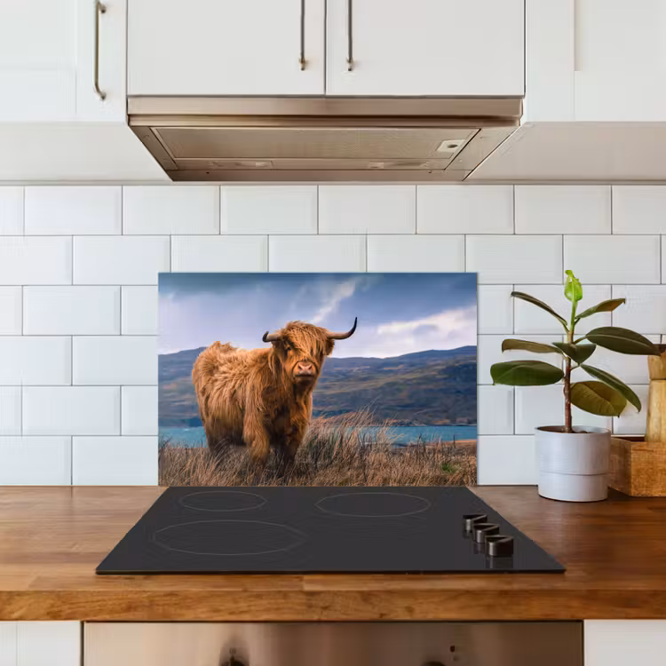 Fond de hotte - Highlander écossais - Montagne - Eau - Nature - Vache — 3