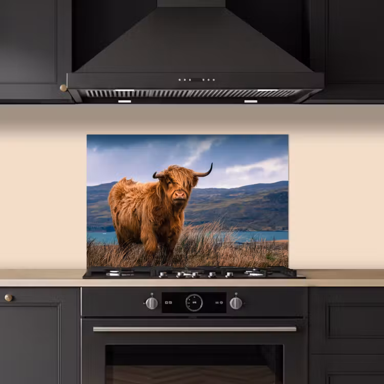 Fond de hotte - Highlander écossais - Montagne - Eau - Nature - Vache — 5