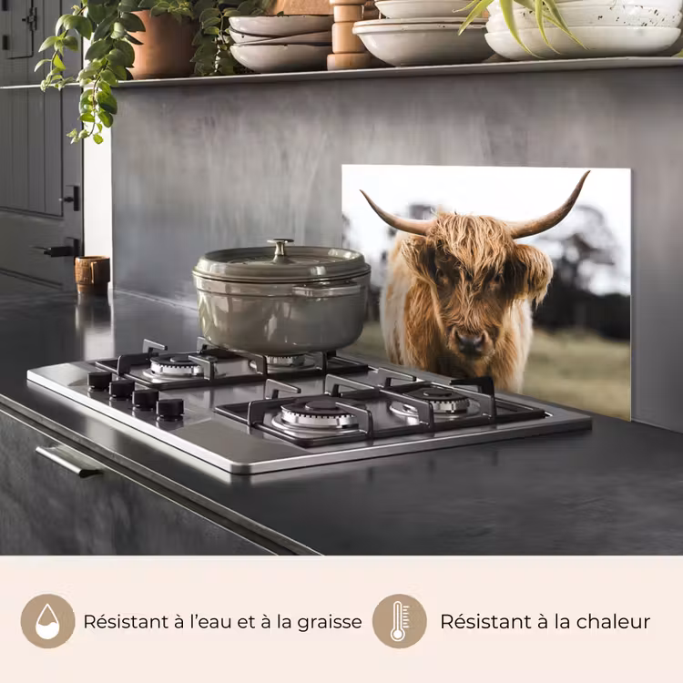 Fond de hotte - Highlander écossais - Vache - Herbe - Animaux - Nature — 2