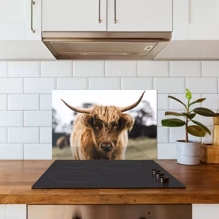 Fond de hotte - Highlander écossais - Vache - Herbe - Animaux - Nature — 3