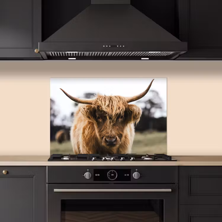 Fond de hotte - Highlander écossais - Vache - Herbe - Animaux - Nature — 5