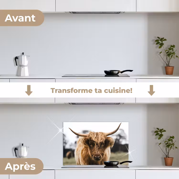 Fond de hotte - Highlander écossais - Vache - Herbe - Animaux - Nature — 7