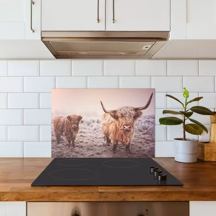 Fond de hotte - Scottish Highlanders - Neige - Soleil — 3