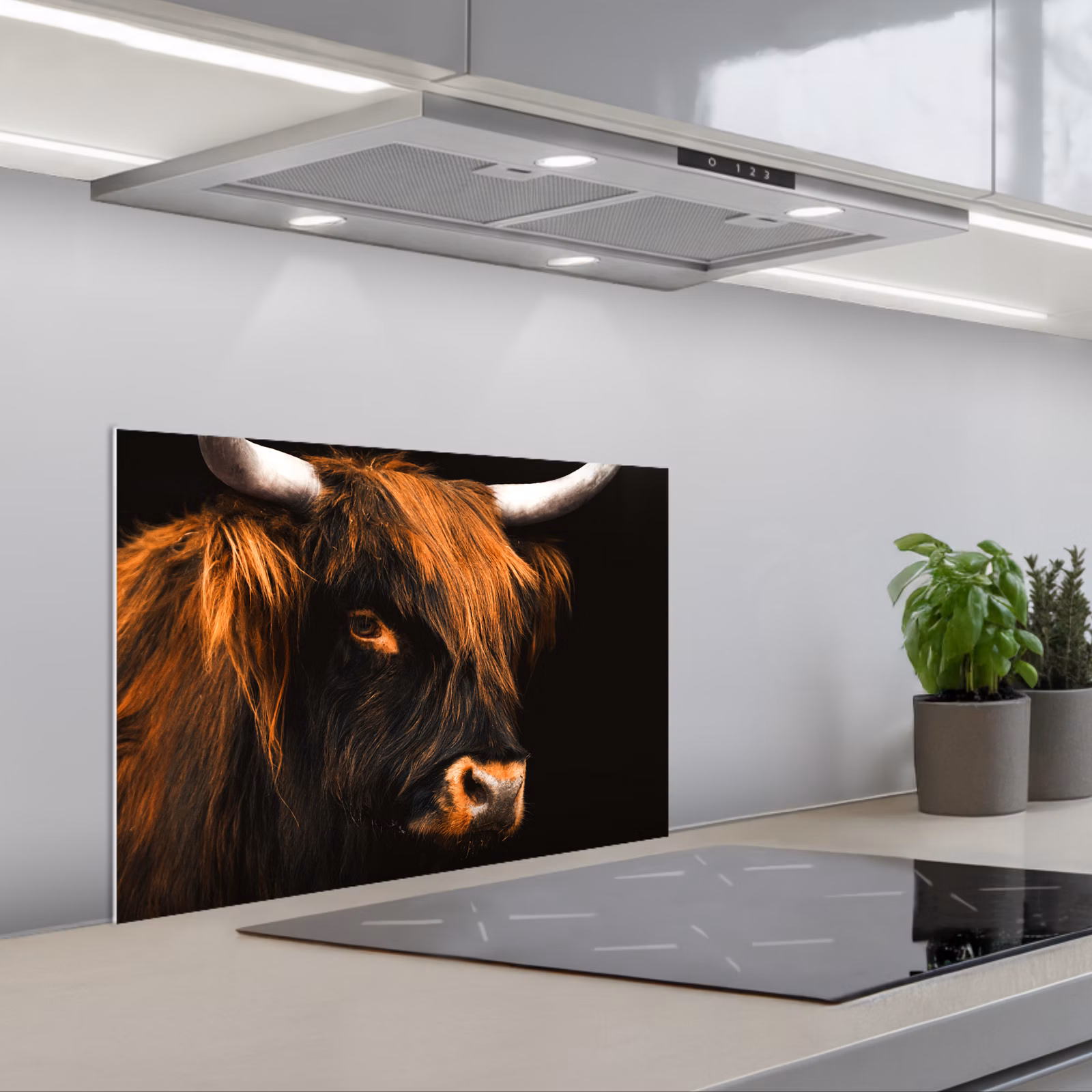 Fond de hotte - Highlander écossais - Noir - Vache - Corne - Animaux — 1