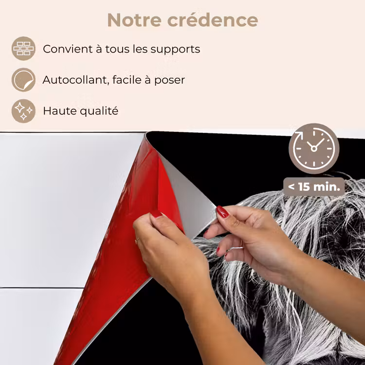Fond de hotte - Highlander écossais - Cornes - Noir - Blanc - Vache - Sauvage - Animaux — 4