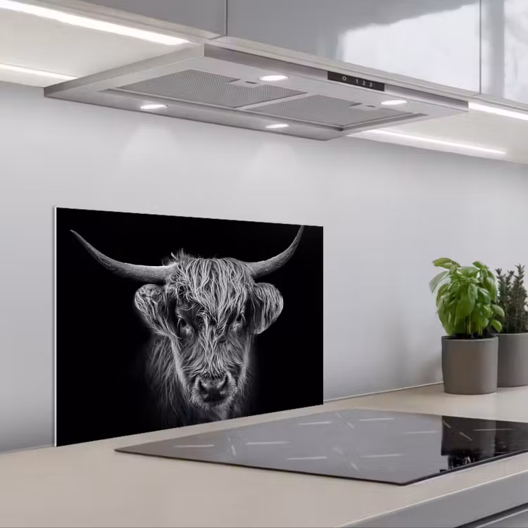 Fond de hotte - Highlander écossais - Noir - Vache - Animaux — 1