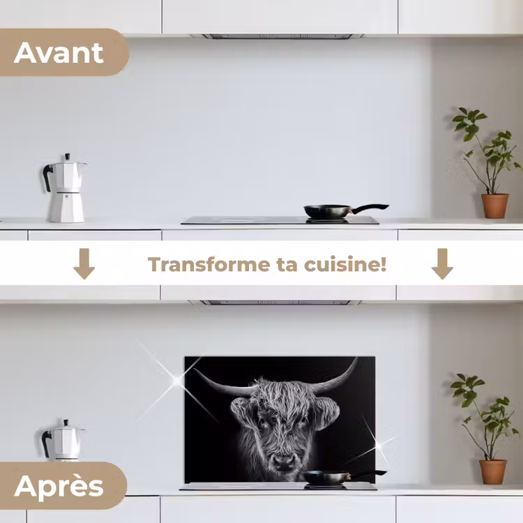 Fond de hotte - Highlander écossais - Noir - Vache - Animaux — 7