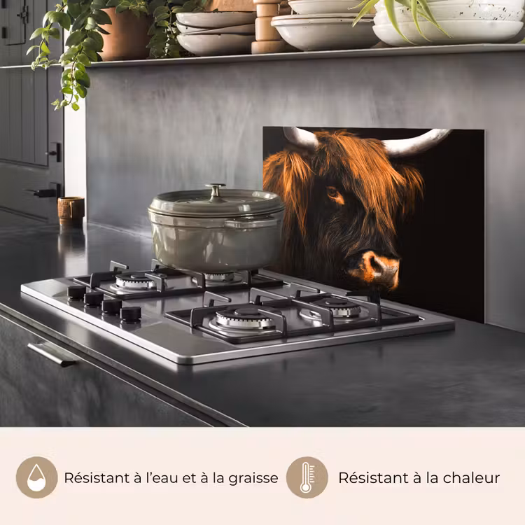 Fond de hotte - Highlander écossais - Noir - Vache - Corne - Animaux — 2