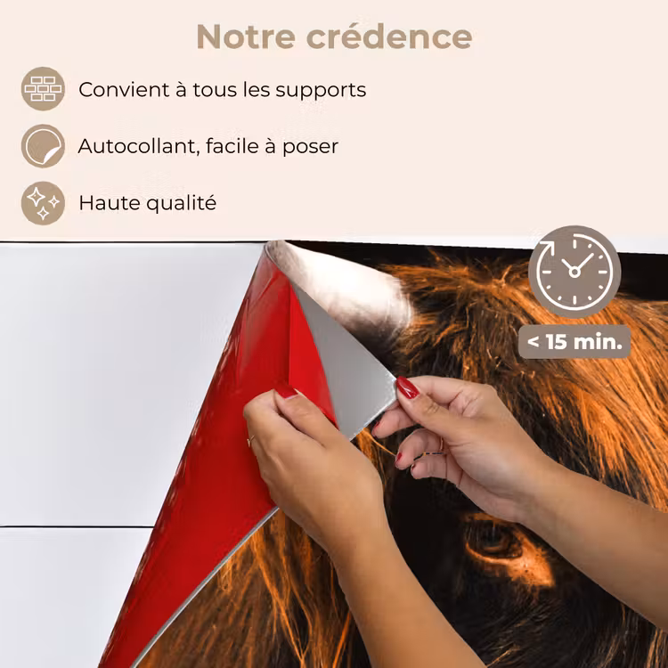 Fond de hotte - Highlander écossais - Noir - Vache - Corne - Animaux — 4