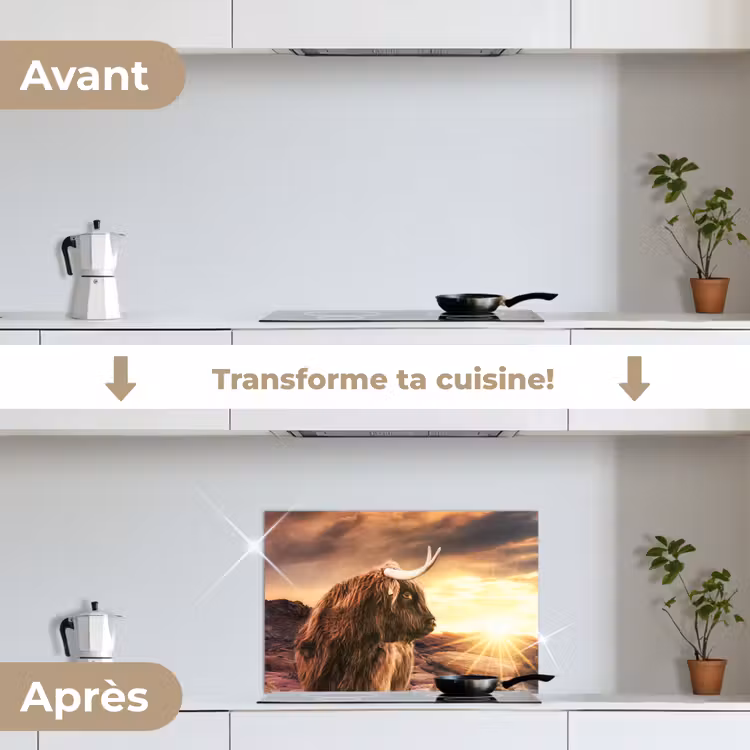 Fond de hotte - Highlander écossais - Soleil - Horizon - Vache - Animaux — 7