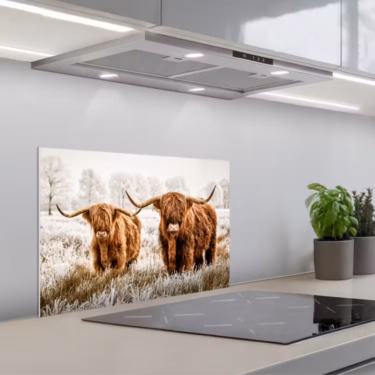 Fond de hotte - Highlander écossais - Vache - Nature - Hiver — 1