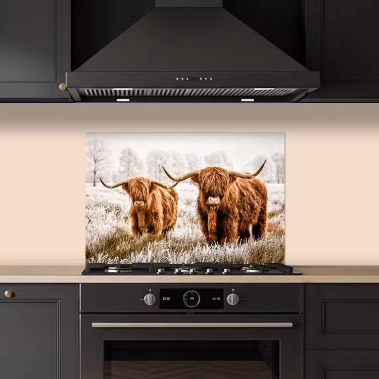 Fond de hotte - Highlander écossais - Vache - Nature - Hiver — 5