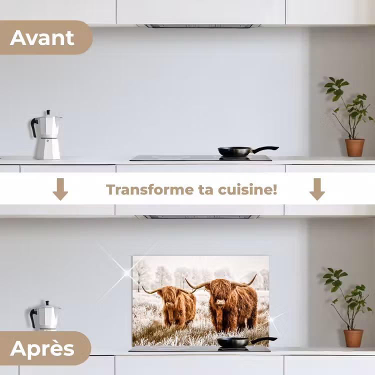 Fond de hotte - Highlander écossais - Vache - Nature - Hiver — 7