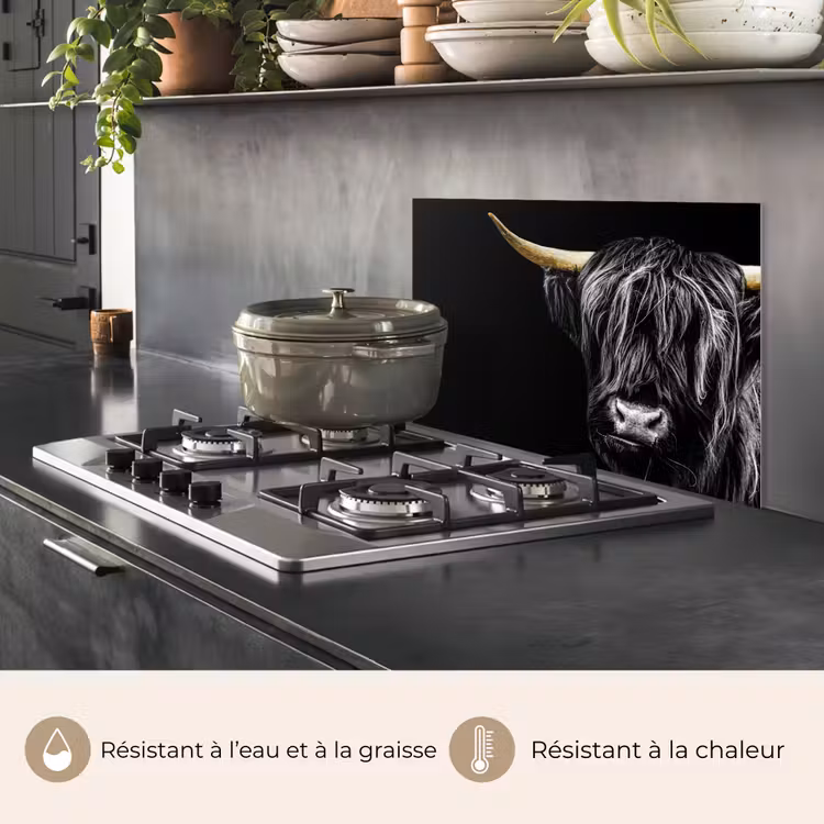 Fond de hotte - Scottish Highlander - Or - Manteau - Animaux - Vache — 2