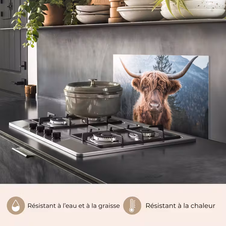 Fond de hotte - Scottish highlander - Vache - Animaux - Montagne - Nature — 2
