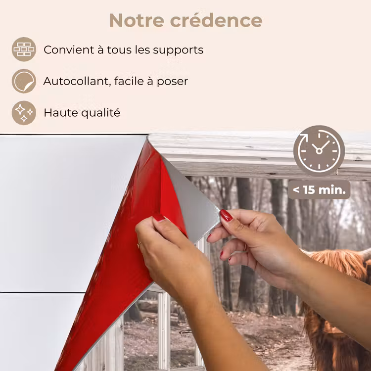 Fond de hotte - Vue - Highlander écossais - Fenêtre — 4