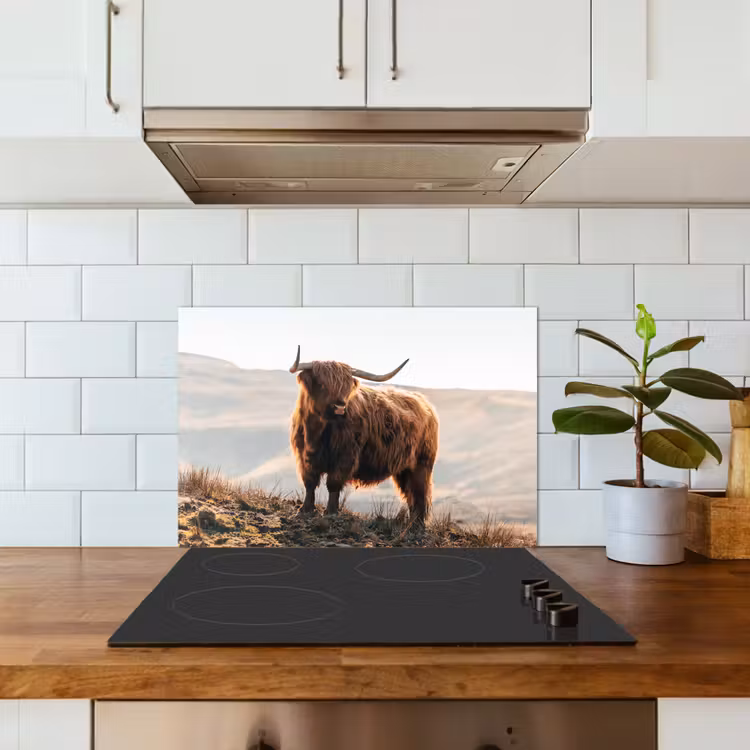 Fond de hotte - Highlander écossais - Animaux - Rural - Paysage - Vache - Nature — 3