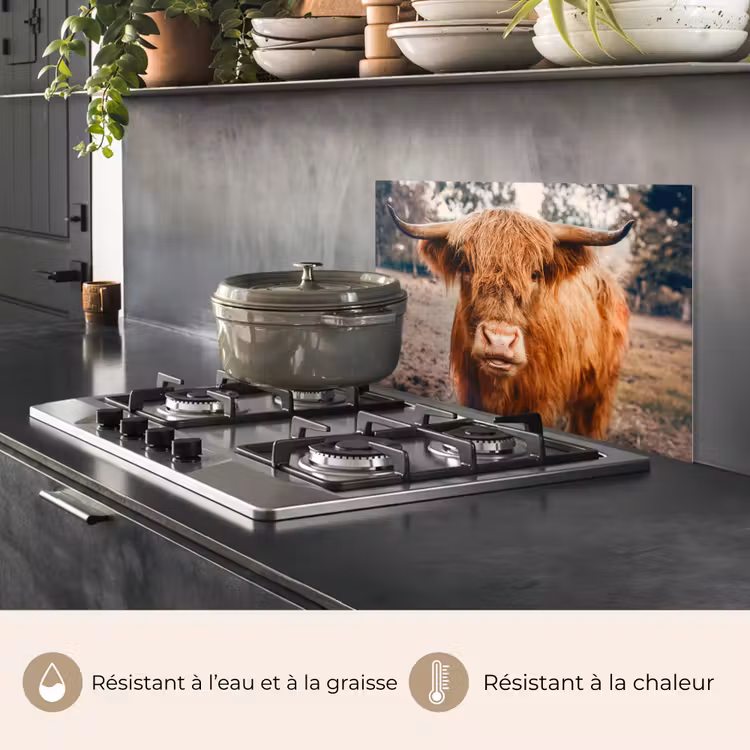 Fond de hotte - Vache - Highlander écossais - Cornes - Brun - Paysage — 2
