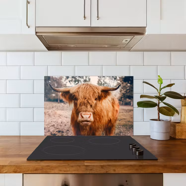 Fond de hotte - Vache - Highlander écossais - Cornes - Brun - Paysage — 3