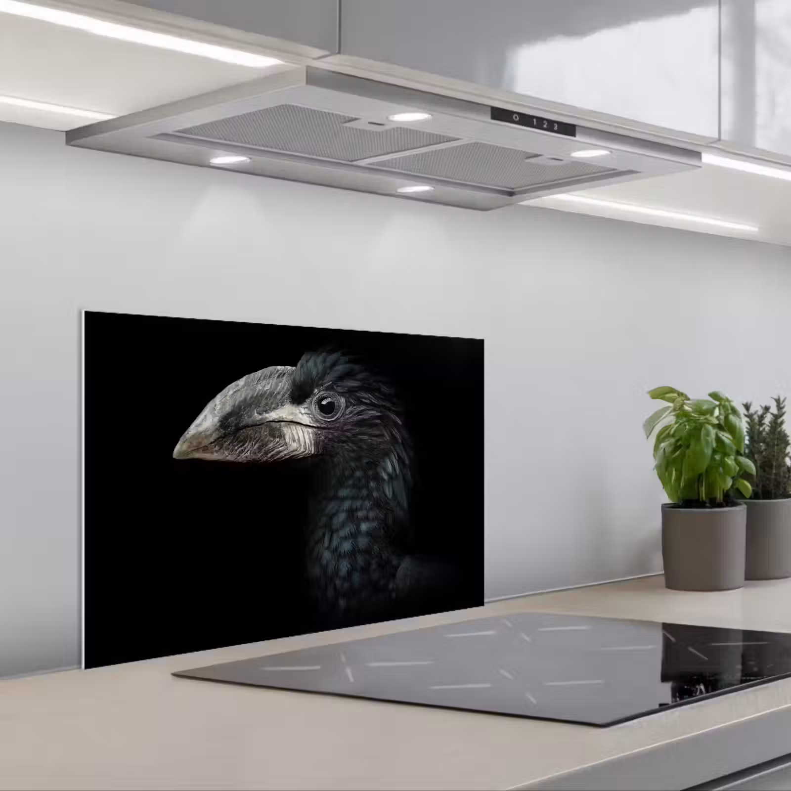 Fond de hotte - Oiseau - Portrait - Calao - Noir - Animaux — 1