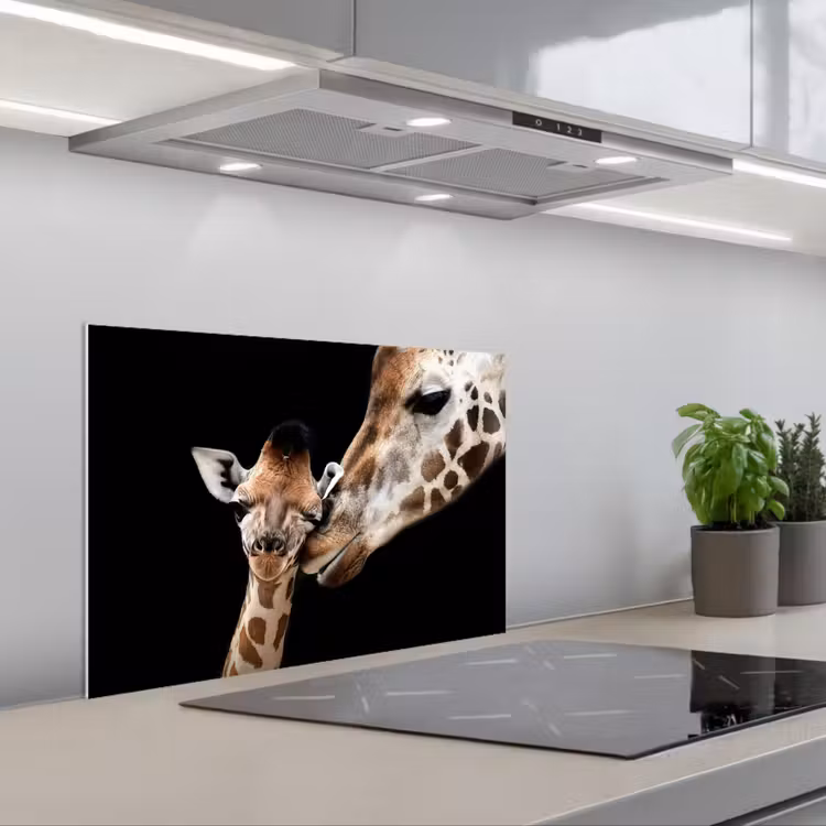 Fond de hotte - Girafe - Animaux - Noir - Portrait - Animaux — 1