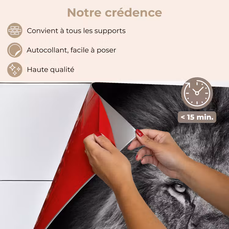 Fond de hotte - Lion - Animaux - Noir - Blanc — 4