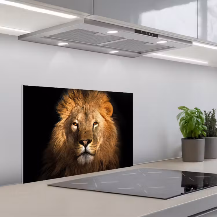 Fond de hotte - Lion - Animaux - Noir - Clair - Brun - Portrait — 1
