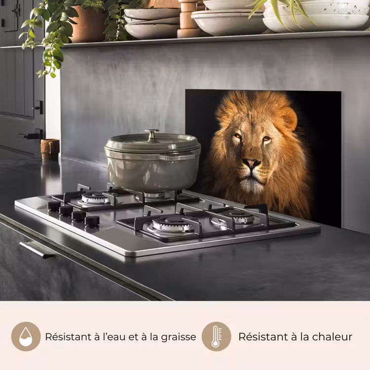 Fond de hotte - Lion - Animaux - Noir - Clair - Brun - Portrait — 2