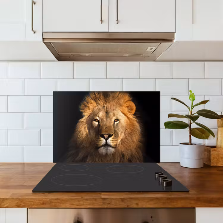 Fond de hotte - Lion - Animaux - Noir - Clair - Brun - Portrait — 3