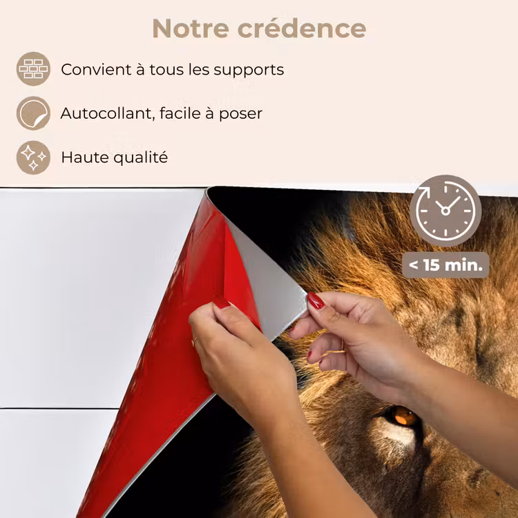 Fond de hotte - Lion - Animaux - Noir - Clair - Brun - Portrait — 4